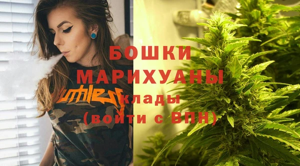 МДПВ Горняк