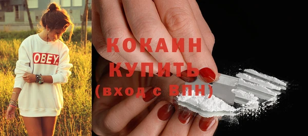 твердый Дмитриев